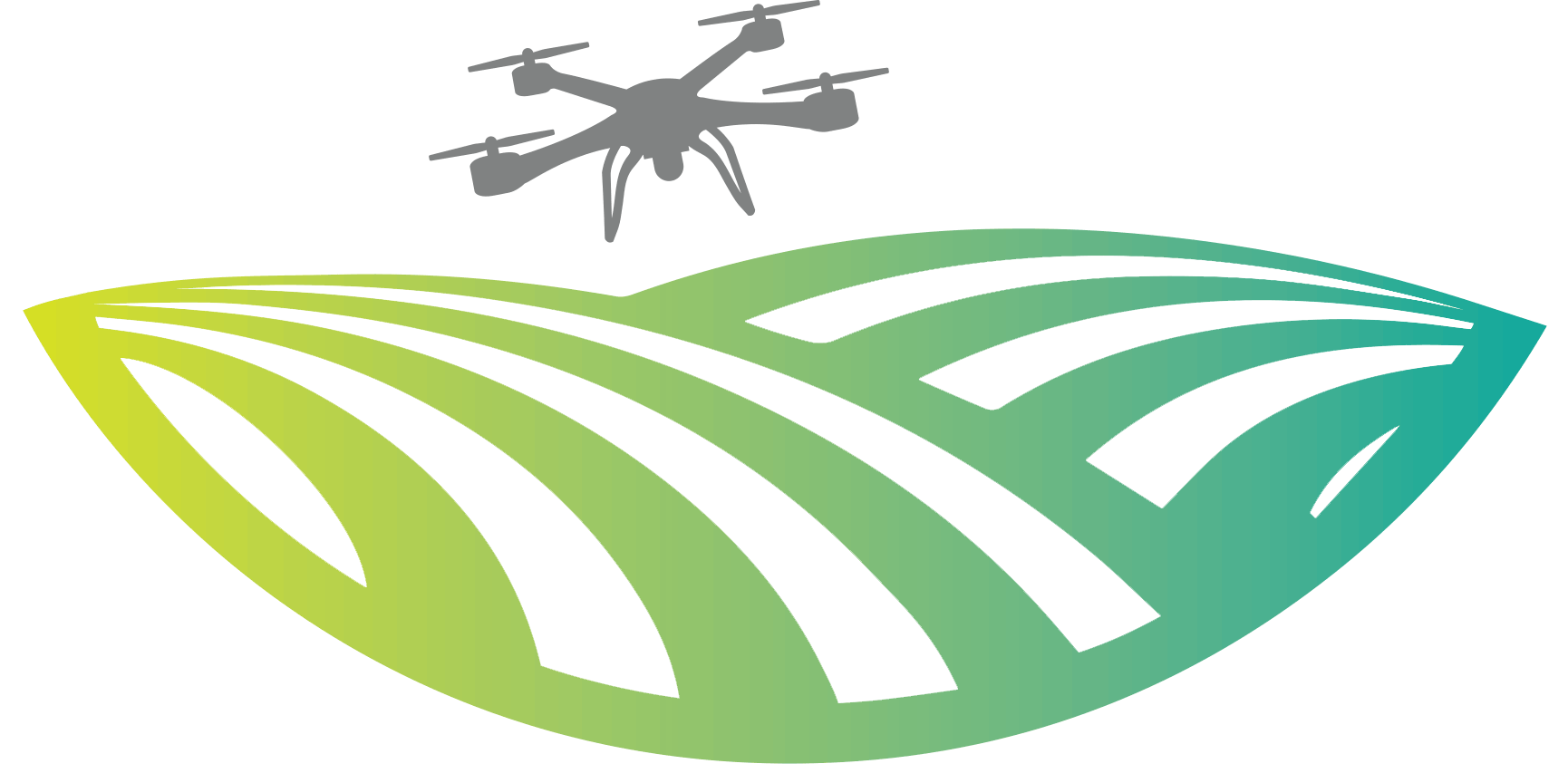 LyonAg Drone Solutions